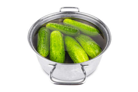 Metal pan with fresh cucumbers in water isolated on white background, preparation for saltingの写真素材