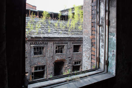 View of dirty abandoned brick building with broken windows and green plants on the roof through shattered windowの写真素材