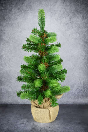 Artificial green christmas tree without toys on gray backgroundの写真素材