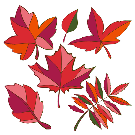 leaves of trees bright setのイラスト素材