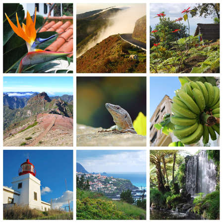 Madeira island collage with ocean and mountain scenes の写真素材