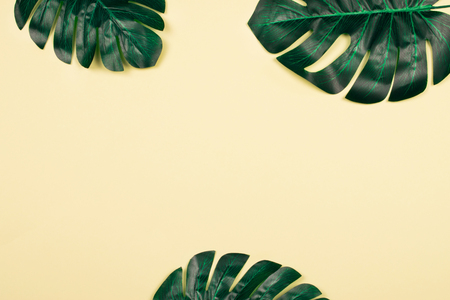 Three beautiful shiny and satureted artificial monstera palm leaves on yellow pastel background. Elegant decoration elements. Copy space for text. Summer time, travel and lifestyles.の写真素材