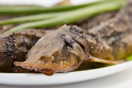 Hot smoked sturgeon on a plate on White backgroundの写真素材