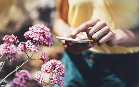 Hipster text message on smart phone or technology, mock up of blank screen. Young girl using cellphone on color flower background close. Tourist female hands holding gadget on blurred summer backdropの写真素材