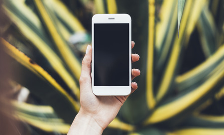 Hipster photograph on digital smart phone or technology, mock up of blank screen. Girl using mobile on yellow and green flowers background close. Hands holding gadget on blurred backdrop, front viewの写真素材