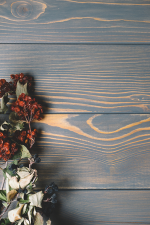 wood backgroundの写真素材