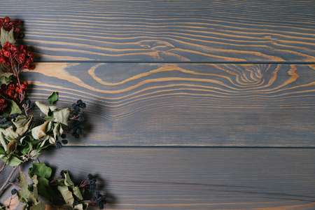 wood backgroundの写真素材