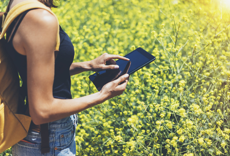 Hipster texting message on tablet computer, mockup of blank empty screen. Girl traveler using gadget on yellow flowers background close. Female hands photographer take view on cell cameraの写真素材
