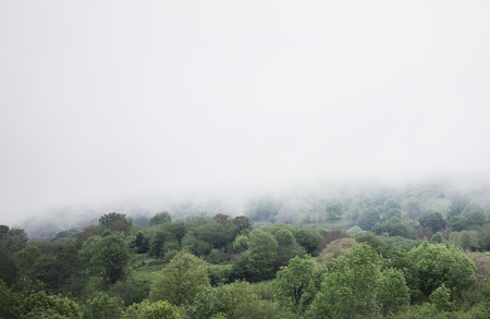 Panorama  horizon view of scenery foggy hills Northern Spain forest. Sunset in the mountain natural autumn landscape park. Green valley on background dramatic sky and clouds. Travel mockup concept in morning time.の写真素材