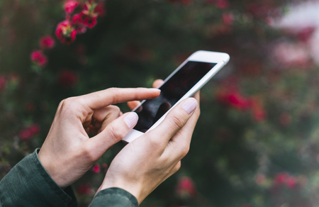 Hipster texting on smartphone or technology, mock up of blank screen. Girl using cellphone on red flowers background. Hands holding gadget on blur. Mockup front view, space for text messageの写真素材