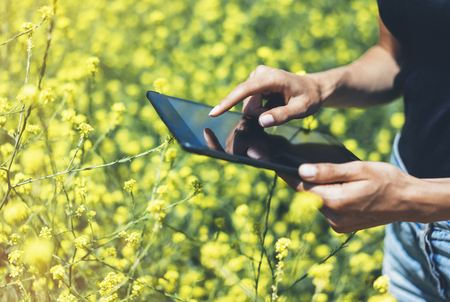 Hipster texting message on tablet computer, mockup of blank empty screen. Girl traveler using gadget on yellow flowers background close. Female hands photographer take view on cell cameraの写真素材
