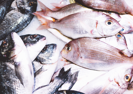 Bird dorado fish on ice background on the market, closup of fresh marine products, useful dietary sea food in restaurant, isolated group fish with shiny scales, frozen seafood after catching fishermenの写真素材