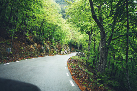 road at summer green forest nature, breath of fresh clean air in trip, relax holiday concept, blurred plant background, landscape of park trees, sunlight through treesの写真素材
