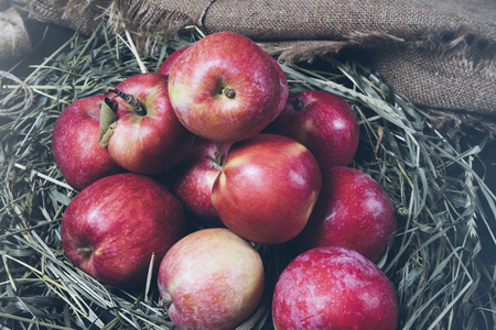 Few red fresh ripe apples on a background of green dry grass, fruit on rustic grass, useful natural food on wood planks, diet breakfast close upの写真素材