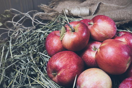 Few red fresh ripe apples on a background of green dry grass, fruit on rustic grass, useful natural food on wood planks, diet breakfast close upの写真素材
