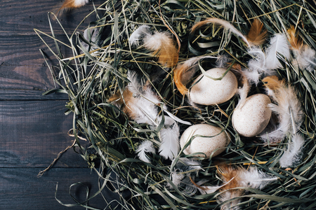 Natural unpainted chicken eggs with bright feathers on the dry green grass in the nest on a wooden dark background of vintage boards close-up , easter eggs top viewの写真素材