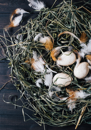 Natural unpainted chicken eggs with bright feathers on the dry green grass in the nest on a wooden dark background of vintage boards close-up , easter eggs top viewの写真素材
