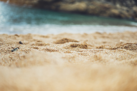 coastline beach on sunny day background of sea and sky, gold sand close up blur, tourism relax concept, seascape perspective vacation, summer walk on ocean, mock upの写真素材