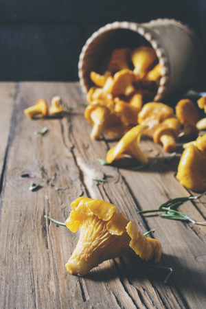 Chanterelles on vintage wooden background top view, healthy food on table mockup, orange mushrooms isolated on rustic country board, fresh forest nutrition mock up closeup, copy space for text message or designの写真素材