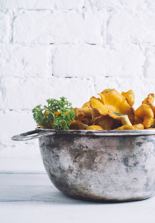 Chanterelles on vintage white wooden background top view, healthy food on table mockup, orange mushrooms isolated on rustic country board, fresh forest nutrition mock up closeup, copy space for text message or designの写真素材