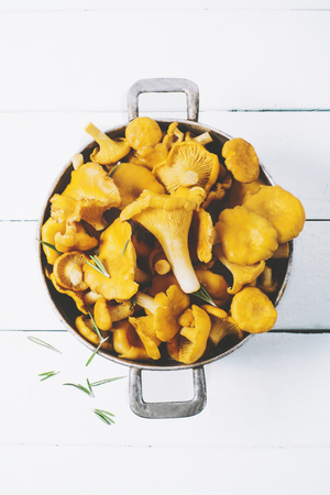 Chanterelles on vintage white wooden background top view, healthy food on table mockup, orange mushrooms isolated on rustic country board, fresh forest nutrition mock up closeup, copy space for text message or designの写真素材