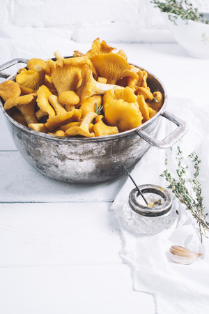 Chanterelles on vintage white wooden background top view, healthy food on table mockup, orange mushrooms isolated on rustic country board, fresh forest nutrition mock up closeup, copy space for text message or designの写真素材