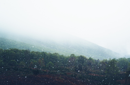 falling snow in the mountains, road in the forest with snow flakes, winter nature, holiday weekend in nature, green tree with white snow, free space mockupの写真素材