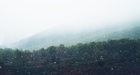 falling snow in the mountains, road in the forest with snow flakes, winter nature, holiday weekend in nature, green tree with white snow, free space mockupの写真素材