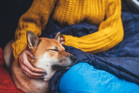 girl hug resting dog together in campsite, close up portrait red shiba inu sleeping in camp tent , hiker woman leisure with puppy dog relax nature vacation, friendship love conceptの写真素材