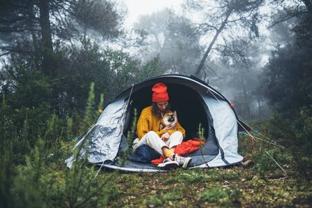 tourist traveler in camp tent hugging red shiba inu on background froggy rain forest, smile woman with puppy dog in mist nature trip, friendship love concept, happy girl resting dog together in campsite park の写真素材