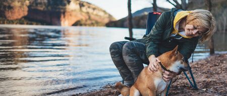 tourist traveler girl smile together dog on background mountain, fun woman hugging puppy pet on lake shore nature trip, friendship love conceptの写真素材