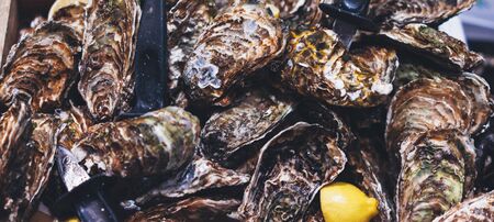 closed oysters with lemon, fresh oyster shell, mollusks in seafood market, aphrodisiac sea food restaurant, dish expensive fresh food, restaurant menuの写真素材