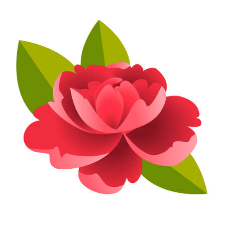 Vector flower bouquet, design element isolated on white background. Terry Petunia, peony pink, yellow and red and twigs with leaves. Greeting floral card.のイラスト素材