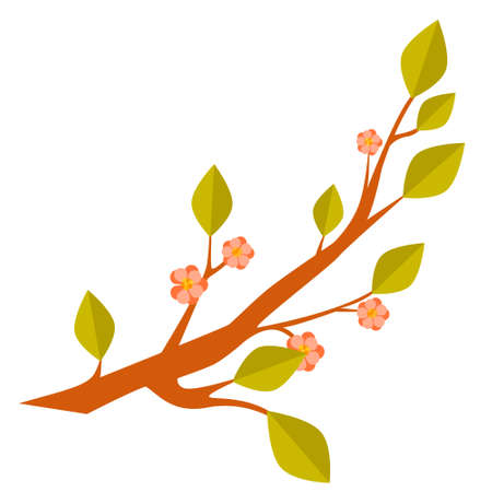 Branch blossom sakura, cherry tree with flowers isolated on a white background. Hand painting on paper.のイラスト素材