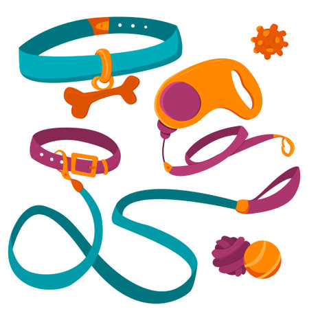 Collar for pets. Buckle leash for dogs and stylish collar with underwire. Fashionable pet accessories. vector illustration isolated on white background. Manual leash and collar for pets, dogs, catsのイラスト素材