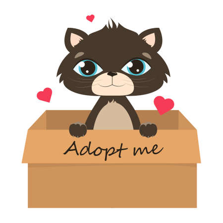 Vector cat isolated on white background. A sad gray homeless kitten in a cardboard box begs for adoption. Vector illustration for cat adoption poster or banner.のイラスト素材