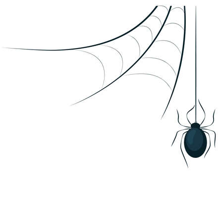 Vector drawing of cobweb and spider isolated on white background. A decorative element in the form of a cobweb and a spider. Spider web and spider descending icon in flat style.のイラスト素材