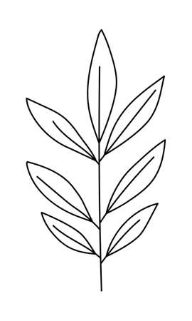 Vector twig with leaves in a minimalist style. Sprig isolated on white background. Floral elements. Hand-drawn botany. Vector elements for textile design and typographyのイラスト素材