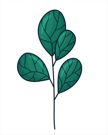 Vector illustration of a twig with leaves, isolated on a white background. A single branch of grass or eucalyptus with leaves. A small twig. Natural element for decoration or designのイラスト素材