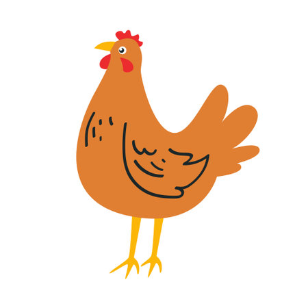 Cute chicken standing sketch, hand drawn in flat style. Vector illustration on the theme of farm and poultry farming. Can be used for childrens development.のイラスト素材