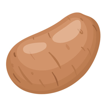 Potatoes in flat vector style. Boiled baked or raw golden yellow potato root in skin, cartoon vector illustration isolated on white background.のイラスト素材