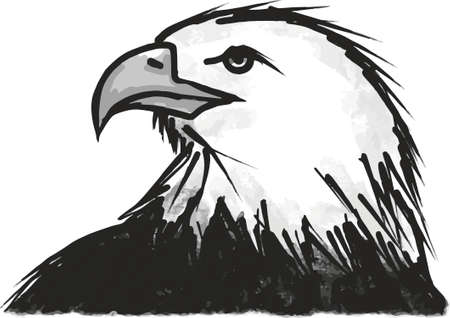 vector illustration of eagle in profileのイラスト素材