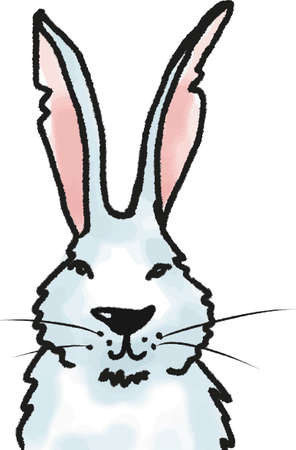 cute funny cartoon bunny portrait isolatedのイラスト素材