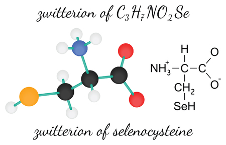 C3H7NO2Se zwitterion of selenocysteine 3d amino acid molecule isolated on whiteのイラスト素材