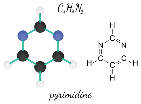 C4H4N2 pyrimidine 3d molecule isolated on whiteのイラスト素材