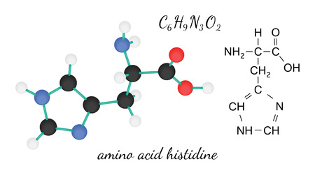 C6H9N3O2 histidine amino acid 3d molecule isolated on whiteのイラスト素材