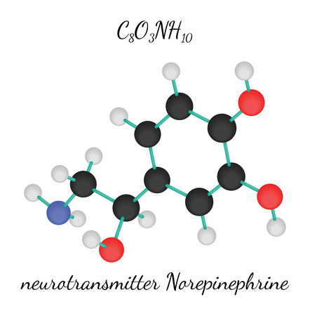 C8O3NH10 Norepinephrine 3d molecule isolated on whiteのイラスト素材