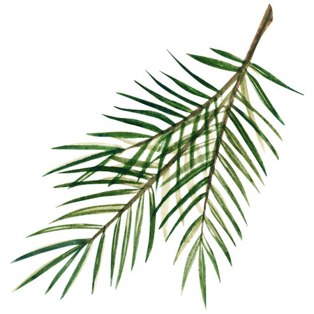 Hand painted watercolor illustration of a pine branch with green needles and no cones. Inspired by Russian fairytales and forest settings, perfect for winter invitations, kids decor, storybook illustration, packaging and holiday-themed creative projects.の写真素材