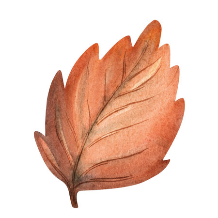 This charming watercolor painting depicts a vibrant autumn maple leaf adorned with traditional Russian folk patterns, blending nature with Slavic ornamental art. The rich amber, gold, and crimson tones capture the essence of fall, while intricate Khokhloma-inspired designs add a magical fairy-tale quality. Perfect for seasonal decorations, children's storybooks about autumn, greeting cards, textile patterns, and educational materials about cultural traditions. The hand-painted watercolor technique gives this leaf a warm, organic feel with delicate brushstrokes that highlight its folkloric charm.の写真素材