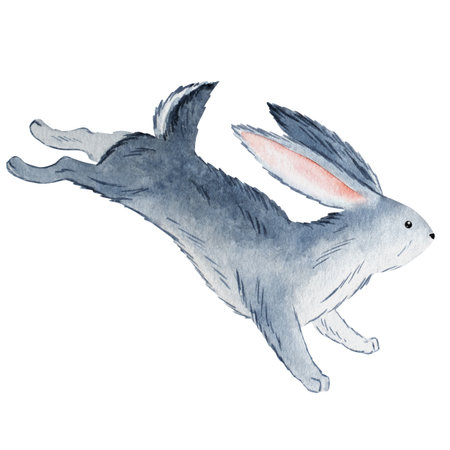 Watercolor rabbit illustration, forest animal character with blue grey fur, hand-painted woodland creature inspired by fairy tales and nature, jumping pose, isolated on whiteの写真素材
